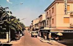 Foto Villetta quadrifamiliare in vendita a Viareggio 104 mq  Rif: 1330898