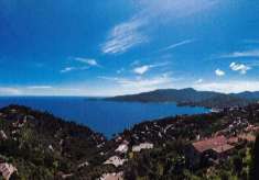 Foto Zoagli - S.Ambrogio - Spettacolare vista mare