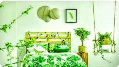 Foto Zona viale Verona 174.000