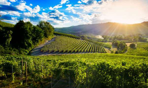 Foto - Monferrato - Langhe - Roero -