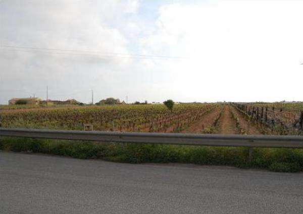 Foto 311 - In vendita a Marsala terreno agricolo, zona mare