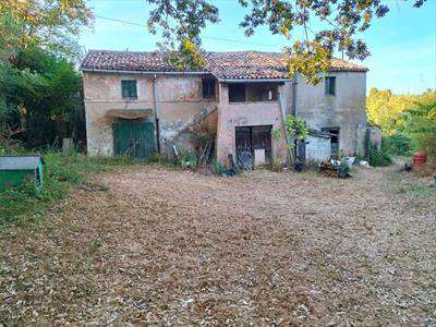 Foto 4 o pi� Locali in Vendita, pi� di 6 Locali, 250 mq, Ancona
