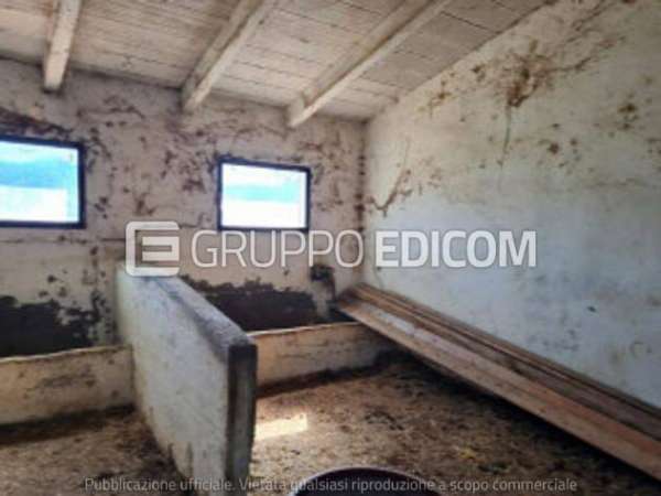 Foto Abitazione di tipo economico in vendita a Mercato Saraceno - Rif. 4508962