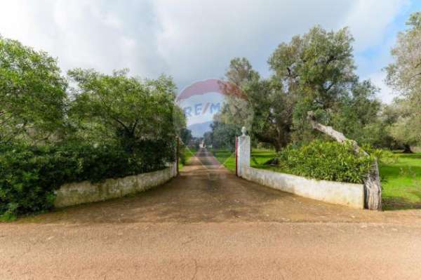 Foto Abitazione tipica in vendita a Ceglie Messapica - 5 locali 7000mq