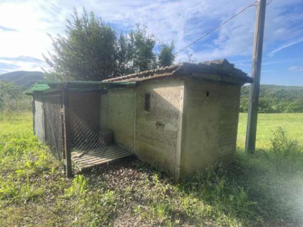 Foto Agricolo di 2500mq