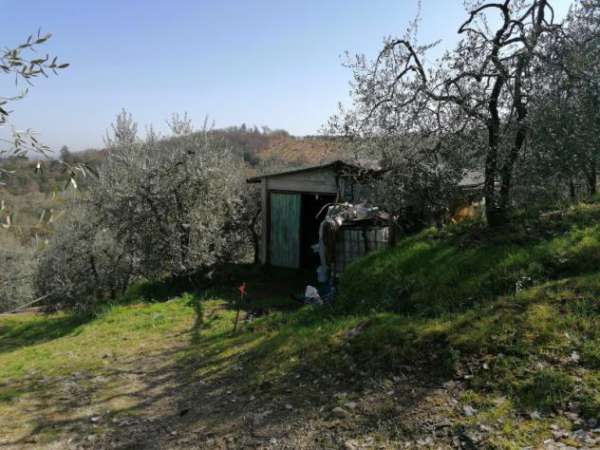 Foto Agricolo di 2500mq