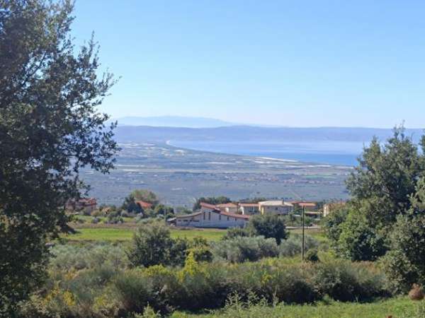 Foto Agricolo in Contrada Piano Luppino