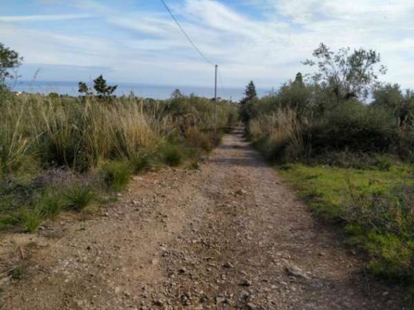 Foto Agricolo in Contrada Rovetto