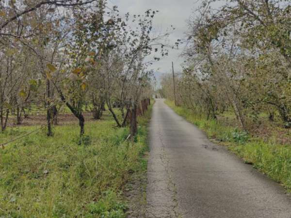 Foto Agricolo in Localit  Poverello