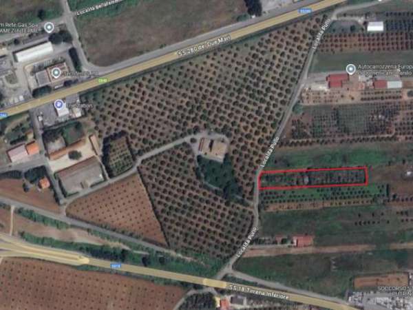 Foto Agricolo in Localit  Pullo