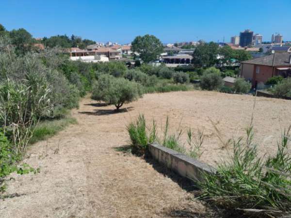 Foto Agricolo in Strada del Palazzo