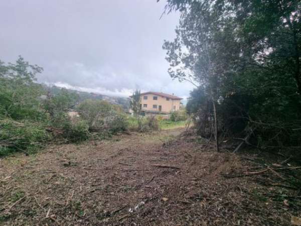 Foto Agricolo in Strada Poggio del Principe