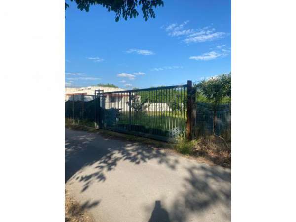 Foto Agricolo in Traversa Cantone