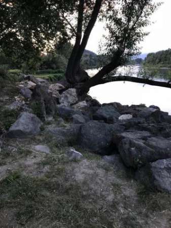 Foto Agricolo in vendita a Arcola