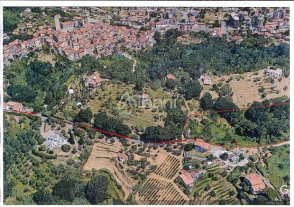 Foto Agricolo in vendita a Arcola