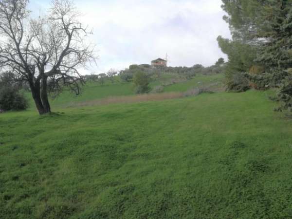 Foto Agricolo in vendita a Caltanissetta