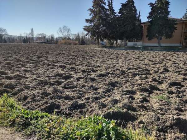 Foto Agricolo in vendita a Jesi