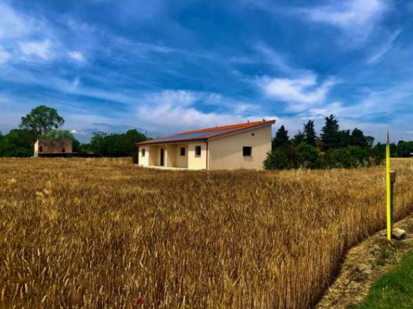 Foto Agricolo in vendita a Jesi