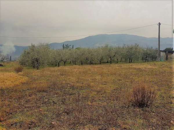 Foto Agricolo in vendita a Lucca