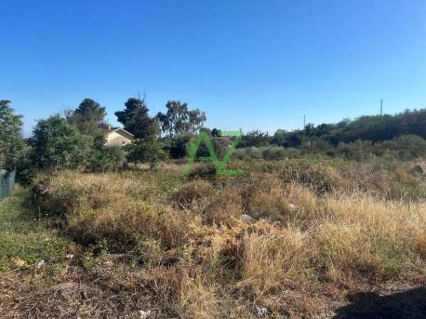 Foto Agricolo in vendita a Mascalucia