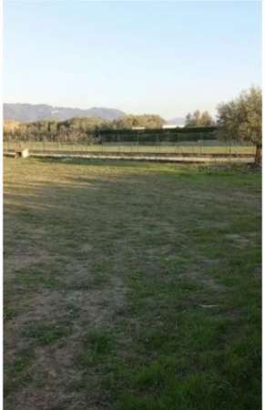 Foto Agricolo in vendita a Pietrasanta