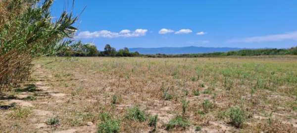 Foto Agricolo in vendita a Quartu Sant'Elena