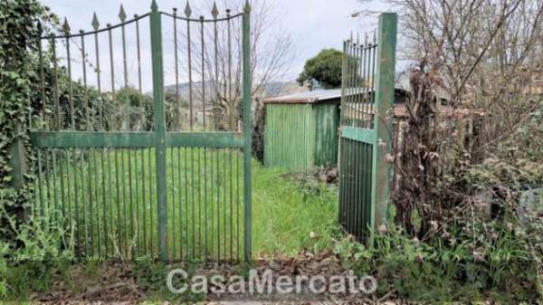 Foto Agricolo in vendita a Rocca di Papa