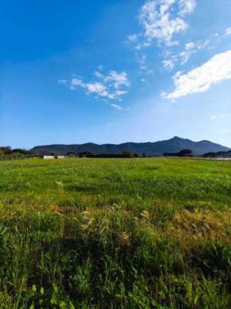 Foto Agricolo in vendita a San Felice Circeo