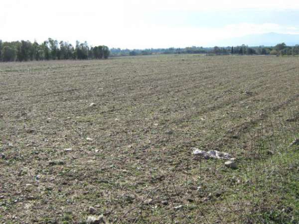 Foto Agricolo in vendita a San Sperate