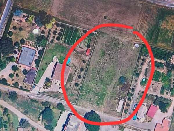 Foto Agricolo in Via Antonio Neviani