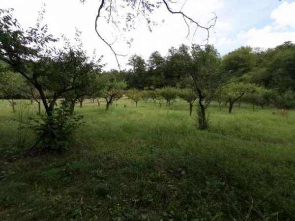 Foto Agricolo in Via Arno