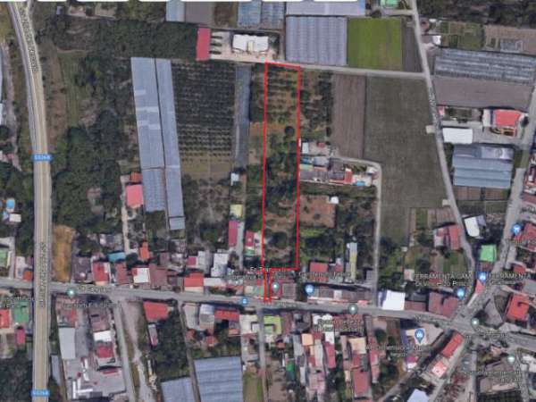 Foto Agricolo in Via Cangiani