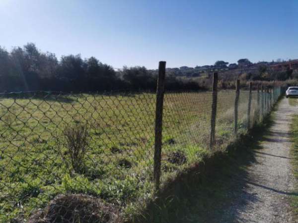 Foto Agricolo in Via Casal di Mario