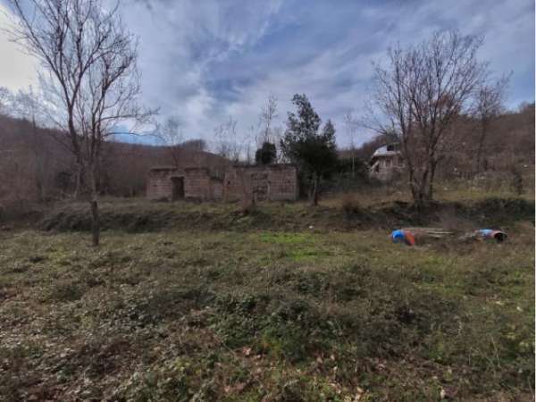 Foto Agricolo in Via Cigliano