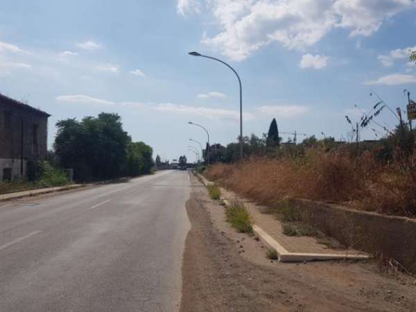 Foto Agricolo in Via delle Terme