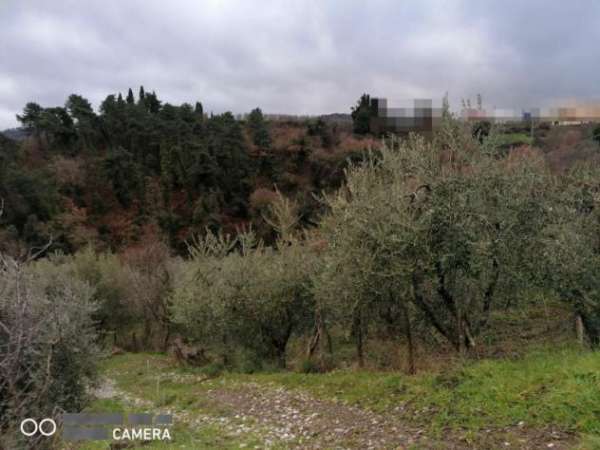 Foto Agricolo in Via di Moncioni