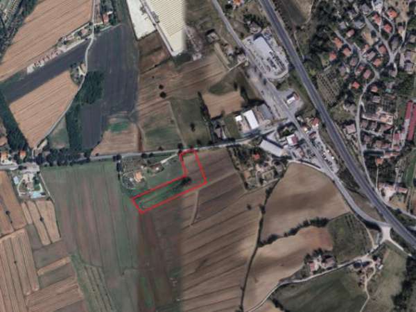 Foto Agricolo in Via Fratelli Cairoli