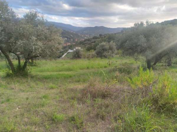 Foto Agricolo in Via Fuonti