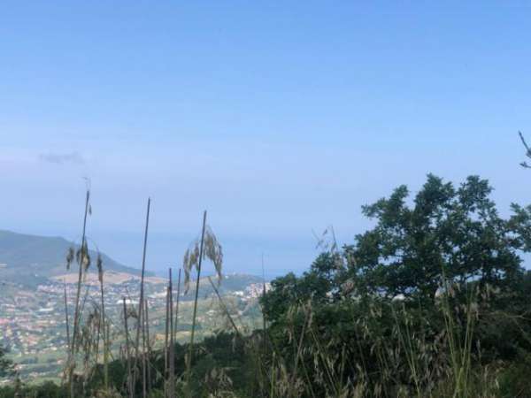 Foto Agricolo in Via Giuseppe Garibaldi