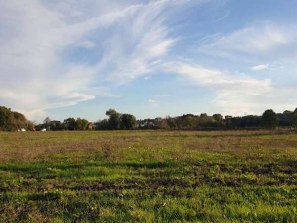 Foto Agricolo in Via Laurentina