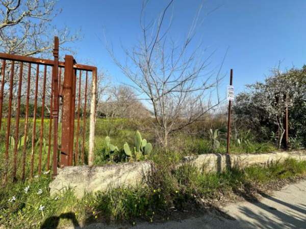 Foto Agricolo in Via Lima
