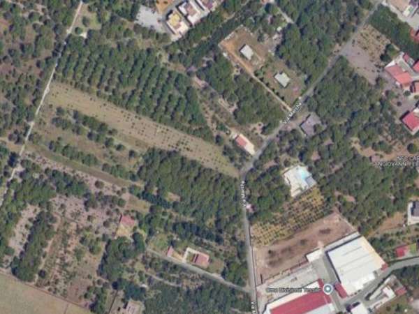 Foto Agricolo in Via Marche