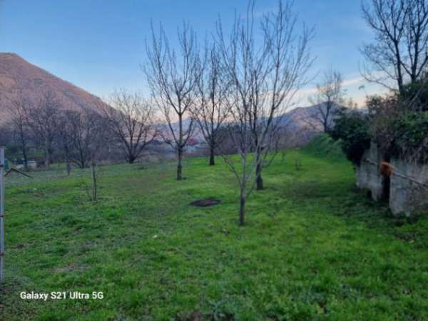 Foto Agricolo in Via Nazario Sauro