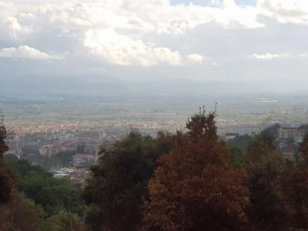 Foto Agricolo in Via Pasquale Stancati