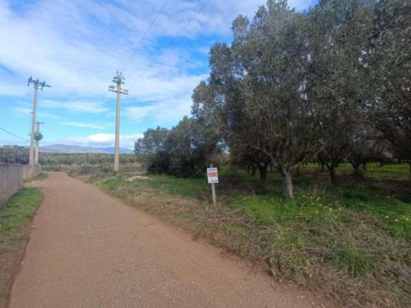 Foto Agricolo in Via Raoul Morelli