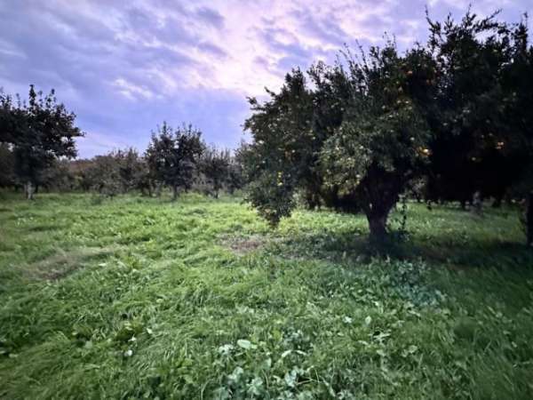 Foto Agricolo in Via Rapillo