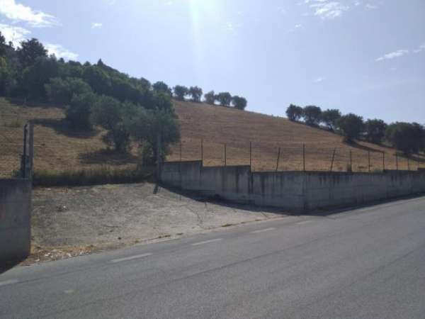 Foto Agricolo in Via Salvatoretto