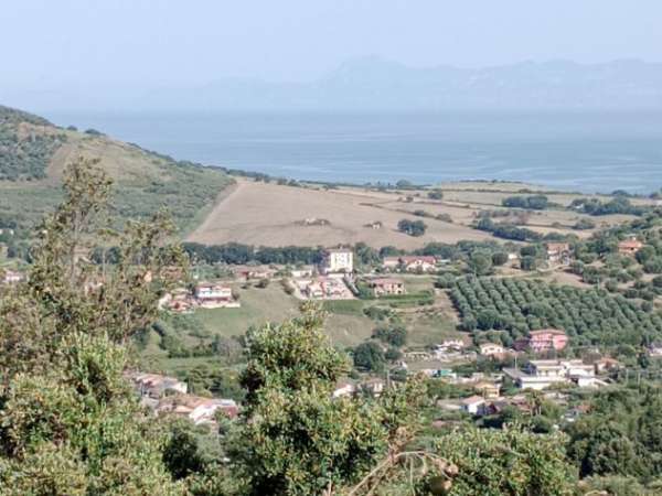 Foto Agricolo in Via Sorrento
