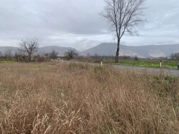 Foto Agricolo in Via Vecchia del Bosco