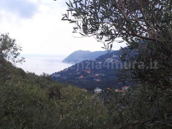 Foto Alassio, terreno collinare vista mare, con piccolissimo rustico.